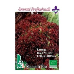 lechuga lollo rossa semillas ecolÃ³gicas