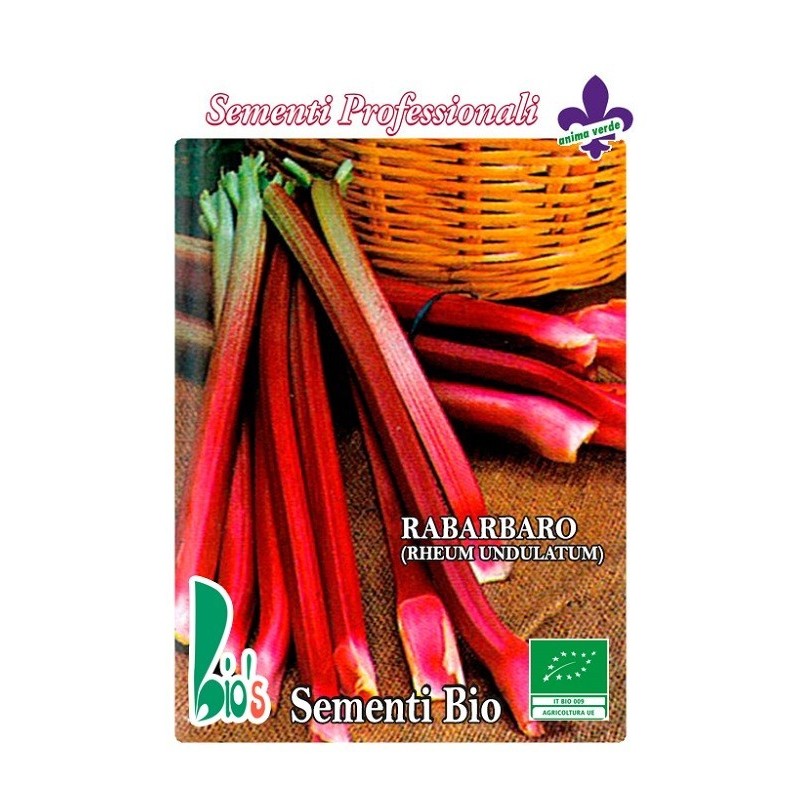 ruibarbo (rheum undulatum) - semillas ecologicas