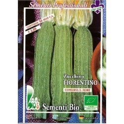 calabacin largo fiorentino - semillas ecologicas