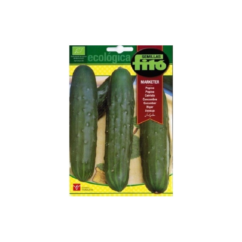 pepino marketer - semillas ecologicas