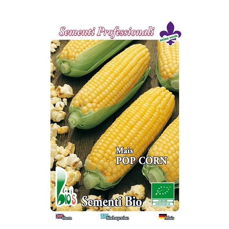 maÃ­z para palomitas (semillas ecologicas)
