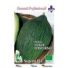 melÃ³n tendral verde - semillas ecologicas