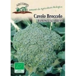 brocoli calabrese medio tardÃ­o - semillas ecolÃ³gicas