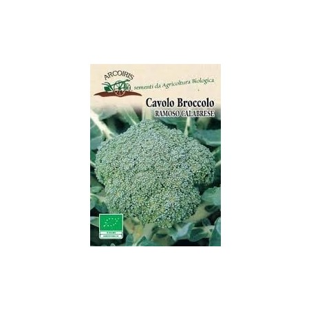 brocoli calabrese medio tardÃ­o - semillas ecolÃ³gicas