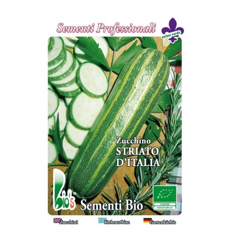 calabacin estriado de Italia - semillas ecologicas
