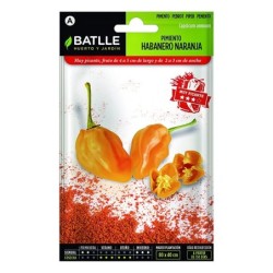 pimiento habanero naranja