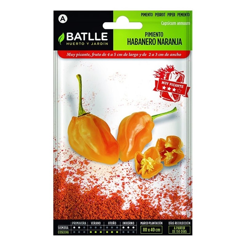 pimiento habanero naranja
