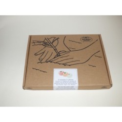 Caja semillas 7 tomates 7 colores