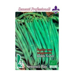 judia bobis de grano blanco semillas ecologicas