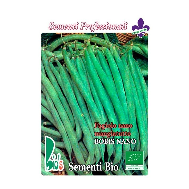 judia bobis de grano blanco semillas ecologicas