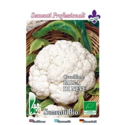 coliflor precoz bola de nieve - semillas ecologicas