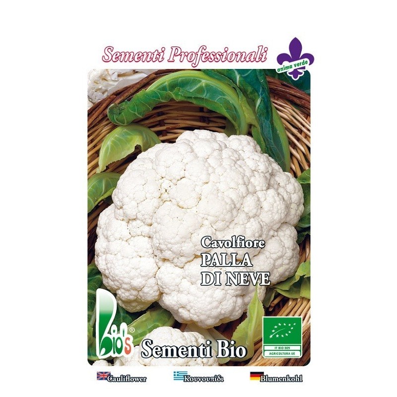 coliflor precoz bola de nieve - semillas ecologicas