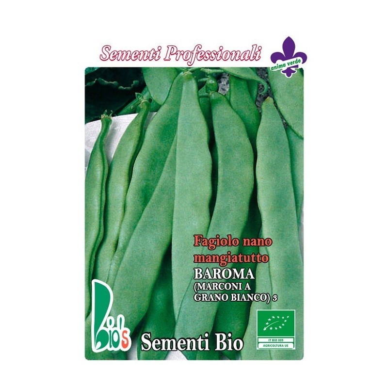 judia baroma (marconi grano blanco) - semillas ecologicas