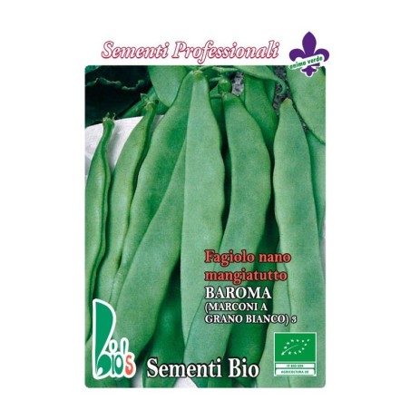 judia baroma (marconi grano blanco) - semillas ecologicas