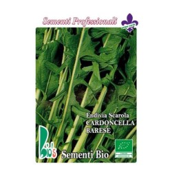 escarola cardoncella de Bari - semillas ecologicas