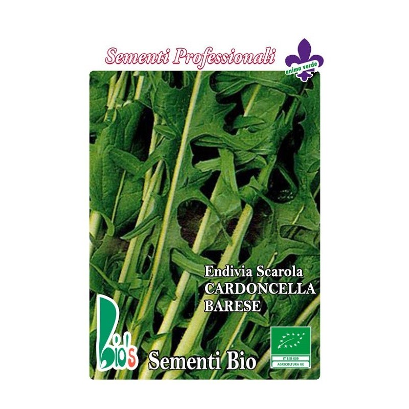 escarola cardoncella de Bari - semillas ecologicas