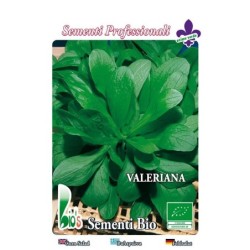 canonigos - valeriana holandesa (semillas ecologicas)