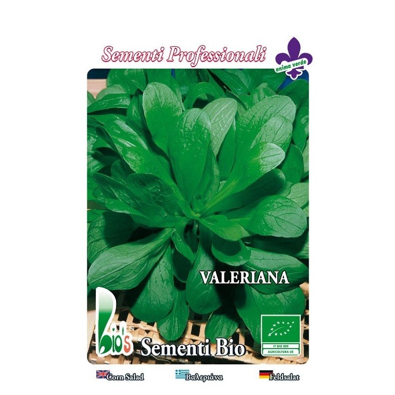 canonigos - valeriana holandesa (semillas ecologicas)