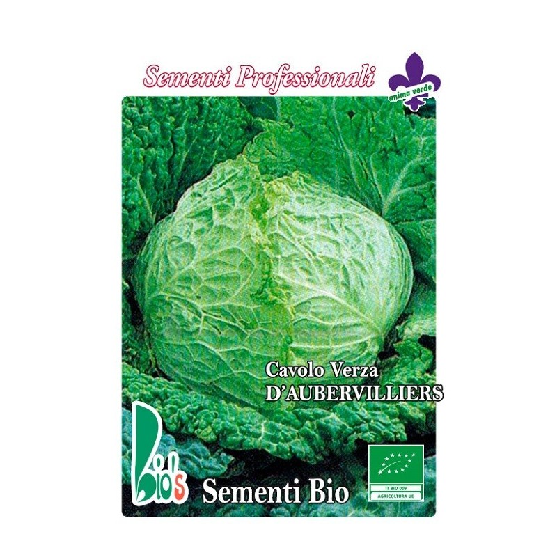 repollo aubervilliers - semillas ecologicas
