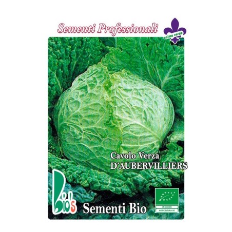 repollo aubervilliers - semillas ecologicas