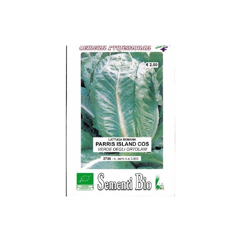 lechuga Romana Parris Island cos semillas ecologicas