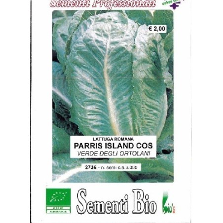 lechuga Romana Parris Island cos semillas ecologicas