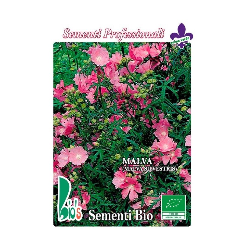 malva (malva silvestris) - semillas ecologicas