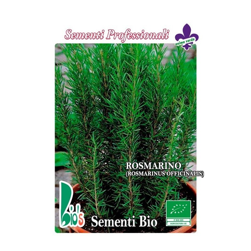 romero (rosmarinus officinalis) - semillas ecologicas