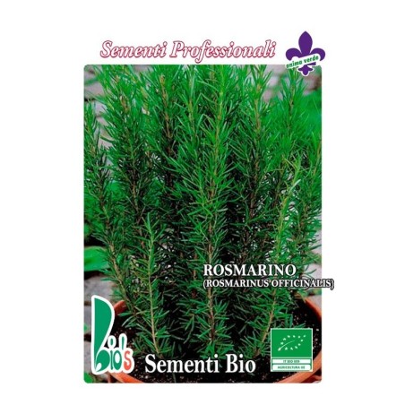 romero (rosmarinus officinalis) - semillas ecologicas