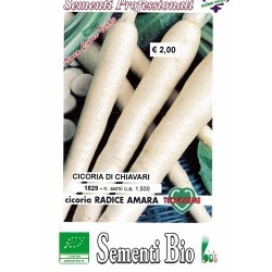 achicoria de raiz semillas ecologicas