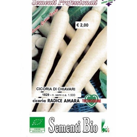 achicoria de raiz semillas ecologicas