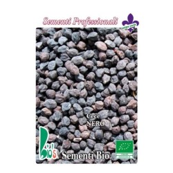 garbanzo negro - semillas ecologicas