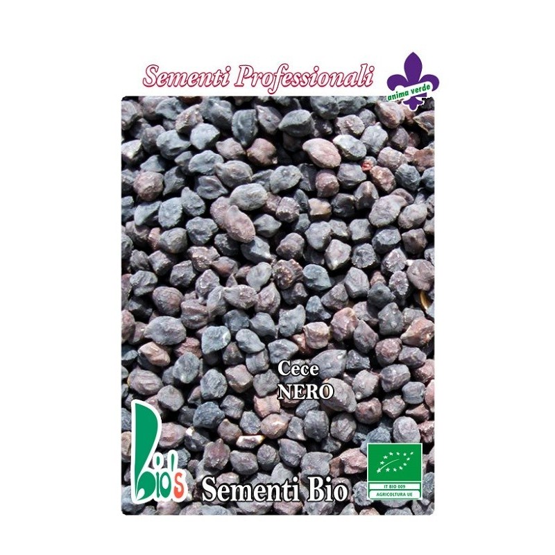 garbanzo negro - semillas ecologicas