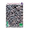 garbanzo negro - semillas ecologicas