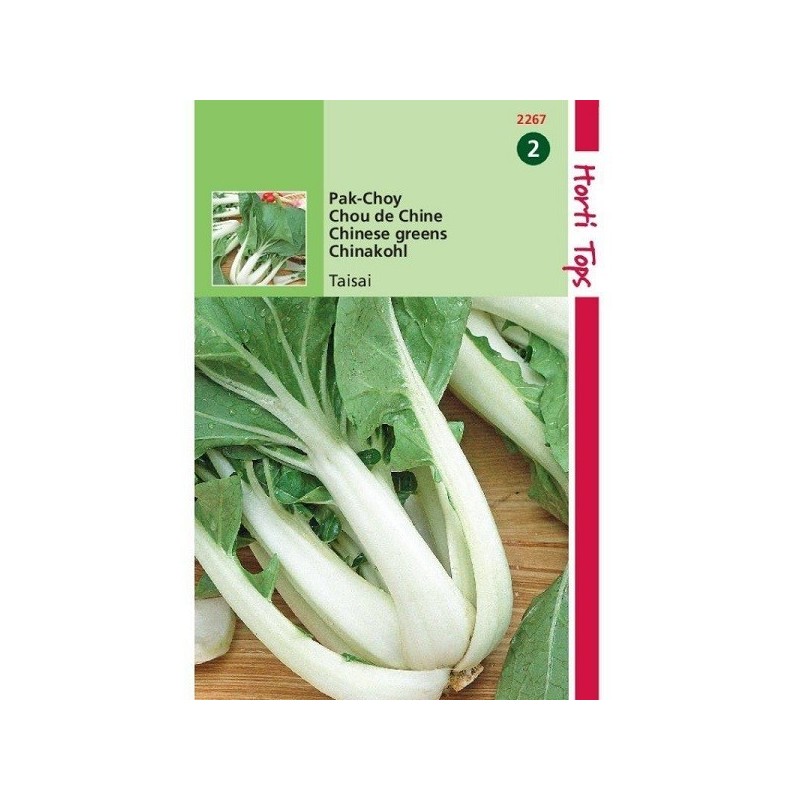 pak choy taisai
