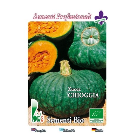 calabaza Marina di Chioggia - semillas ecologicas