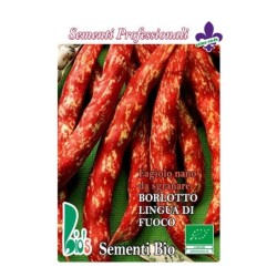 judia borlotto lengua de fuego - mata baja - semillas ecolÃ³gicas