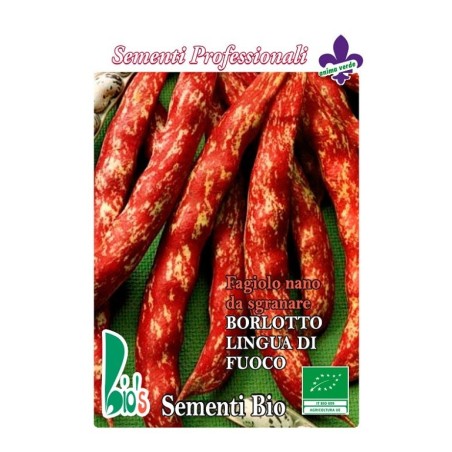 judia borlotto lengua de fuego - mata baja - semillas ecolÃ³gicas