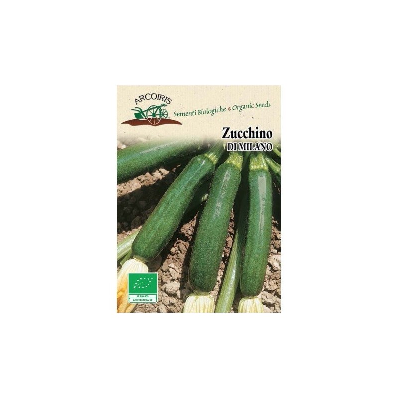 calabacin de Milan (semillas ecologicas)
