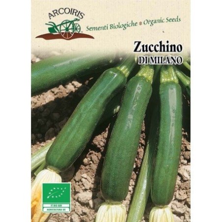 calabacin de Milan (semillas ecologicas)