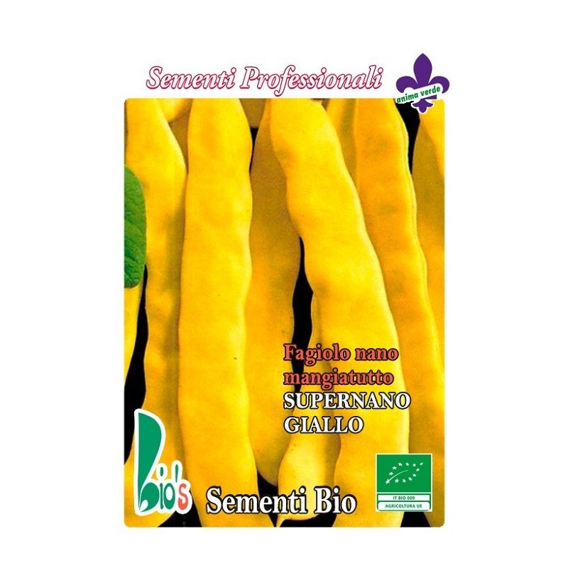 judÃ­a amarilla plana - semillas ecologicas