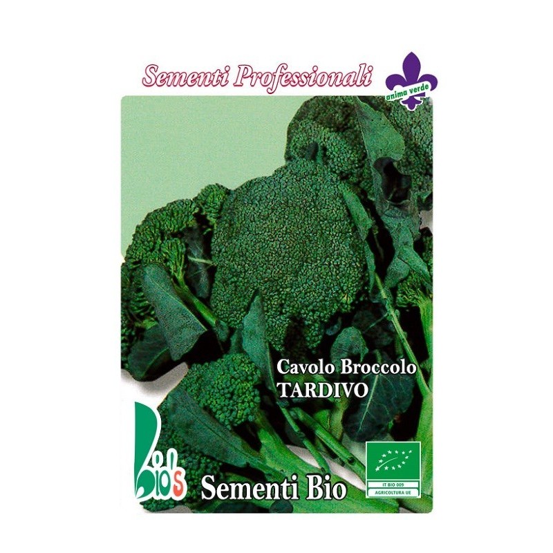 brocoli calabres tardio - semillas ecologicas