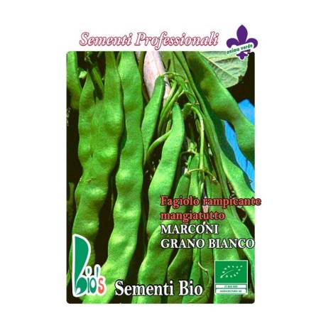 judia marconi de enrame grano blanco (semillas ecologicas)