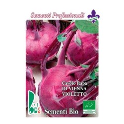 colinabo morado - semillas ecologicas