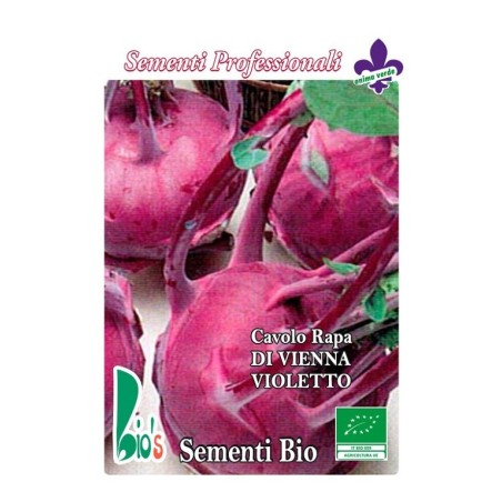 colinabo morado - semillas ecologicas