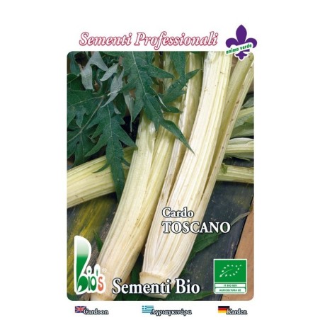 cardo blanco gigante de la Toscana - semillas ecologicas
