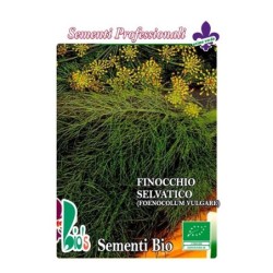 hinojo silvestre (foenocolum vulgare) semillas ecologicas
