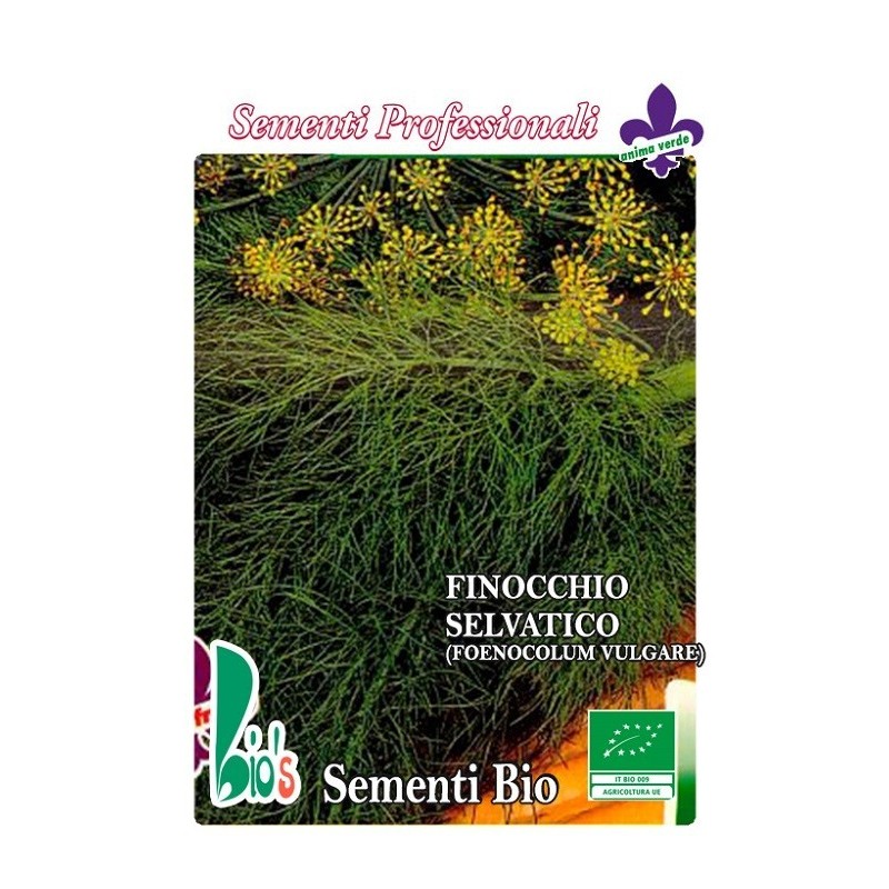 hinojo silvestre (foenocolum vulgare) semillas ecologicas