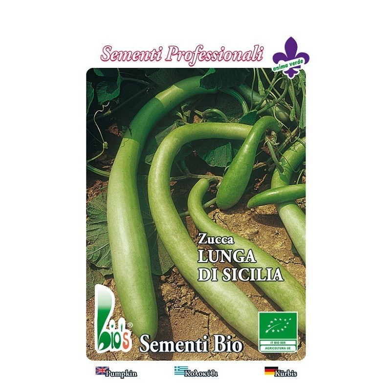 calabaza serpiente de Sicilia - semillas ecologicas