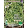 lechuga ricciolina di Trieste semillas ecologicas